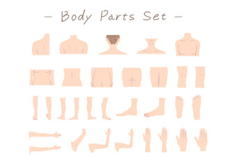 女性の身体の部位のイラストセット