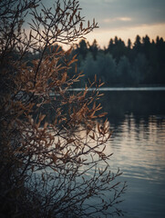 Landscape scene with sharp foreground detail of delicate branches, cinematic side lighting emphasizing texture, blurred lake surface behind glowing softly under moody atmospheric