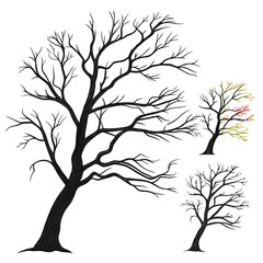 Obraz premium Black bare tree branches with hints of color silhouette