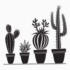Black potted cacti and succulents on white background cactus plant
