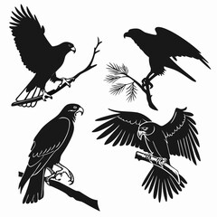Black silhouettes of birds of prey perched and in flight falcon hawk