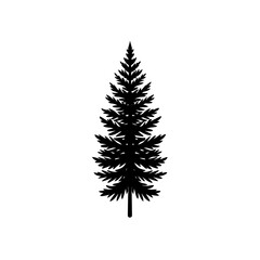 Silhouette of a fir tree art on transparent background