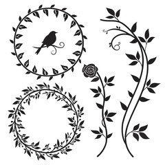 Floral vine frames with bird and rose silhouettes vector © nalu