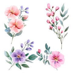 Fototapeta premium watercolor, wedding card, set flowers