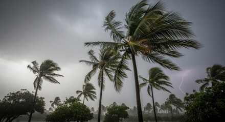 Obraz premium Tropical storm palm trees bend, rain falls under a heavy sky, with lightning streaks across the clouds