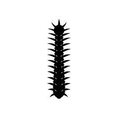 Silhouette of a centipede bug on transparent background