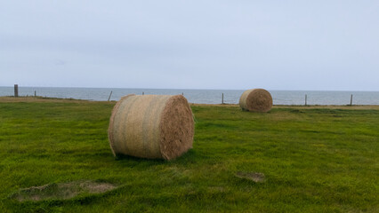 Round hay bales in grassy coastal field overlooking the sea, drone aerial rural agriculture scene.