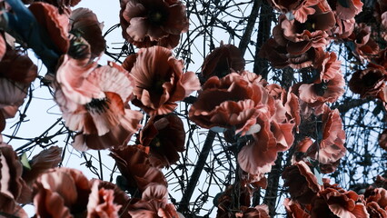 National Museum of the History of Ukraine in World War II