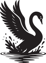 Black Swan Elegant and Rare Symbol of Grace and Beauty