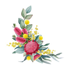 Australia native flowers floral decor watercolor illustration on white background. Hand drawn Australian flora decoration design element with waratah flower, gum tree leaves, golden wattle