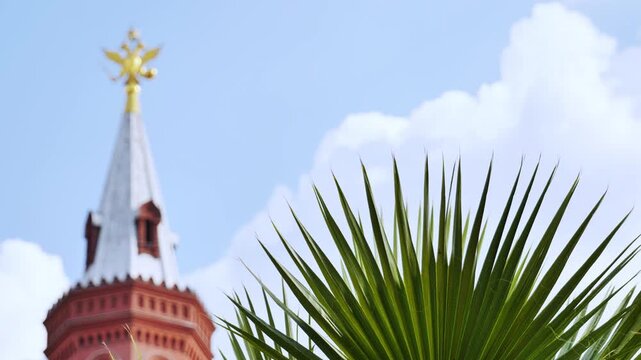 Palm tree leaves framing Moscow Kremlin tower under blue sky
