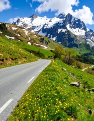 Alpine road winding through green valley