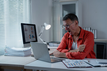 Stressed mature businessman yelling at his laptop while working in office, having problems with...