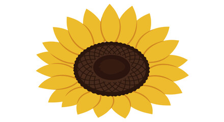Fototapeta premium Vibrant Yellow Sunflower with Detailed Dark Brown Center