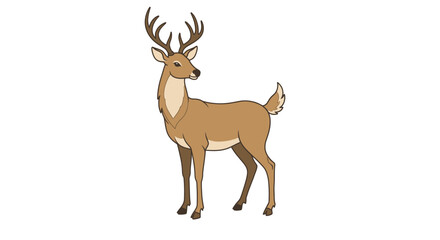 Fototapeta premium Brown Deer with Antlers, Side Profile Illustration