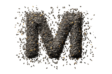 Dark letter "M" formed by scattered seeds