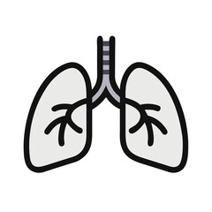 human lungs vector