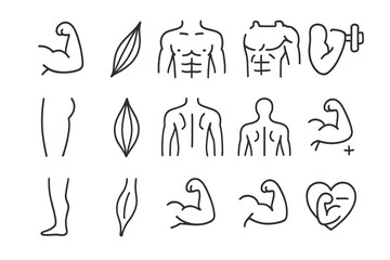 Muscles icon set, thin line editable stroke vector collection of human body muscle anatomy symbols, fitness, strength, biceps, torso, arms, legs, health, workout, cartoon style