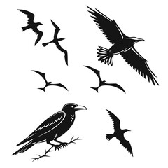 Obraz premium Black bird silhouettes flying perched crow