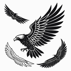 Obraz premium Black eagle and wing designs wings flying