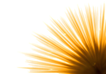 Golden Radiance Abstract Sunburst Pattern of Wooden Skewers on transparent background