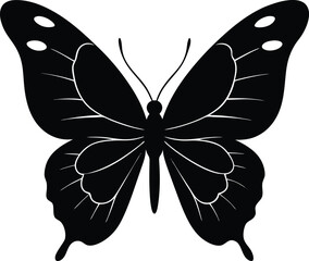 butterfly silhouette on transparent backg