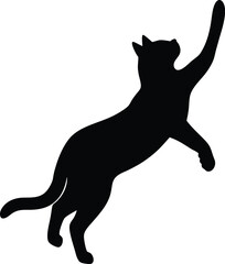 a cat silhouette on transparent backg