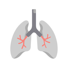 human heart isolated on white