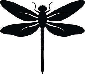 Dragonfly vector on transparent background