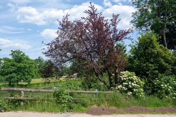 Fototapeta premium Out and about in nature