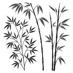 Black bamboo stalks and leaves plant
