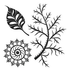 Black fractal leaf branch mandala white