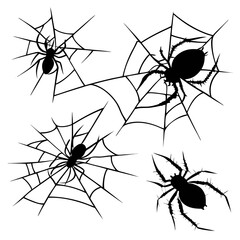 Black spiders on webs arachnid creepy
