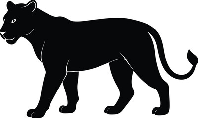  Panther on transparent background