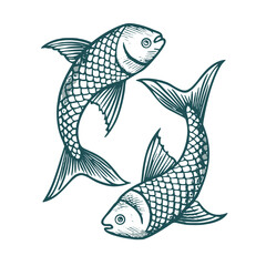 Pisces zodiac sign illustration in vintage style featuring two intertwined fish