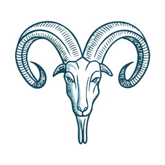 Aries zodiac sign illustrated as a detailed ram head on a blank background
