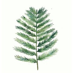Pine leaf conifer plant grass.