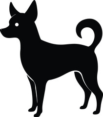 black and white dog  on transparent background