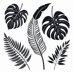 Tropical leaves and feather silhouettes monstera leaf