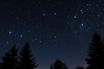 Naklejka premium Starry night sky with silhouette of trees