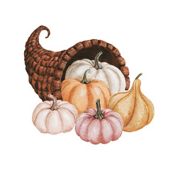 Autumn cornucopia full with pumpkins. Hand drawn watercolor illustration