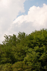 Fototapeta premium 구름이 있는 여름 하늘