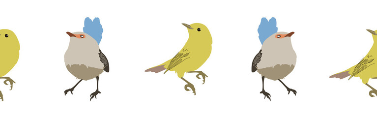 Bird con border. Bird feather silhouette symbol. Bird border isolated on a white background