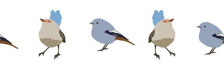 Bird con border. Bird feather silhouette symbol. Bird border isolated on a white background