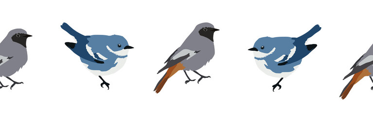 Bird con border. Bird feather silhouette symbol. Bird border isolated on a white background