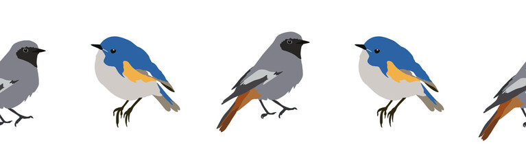 Bird con border. Bird feather silhouette symbol. Bird border isolated on a white background