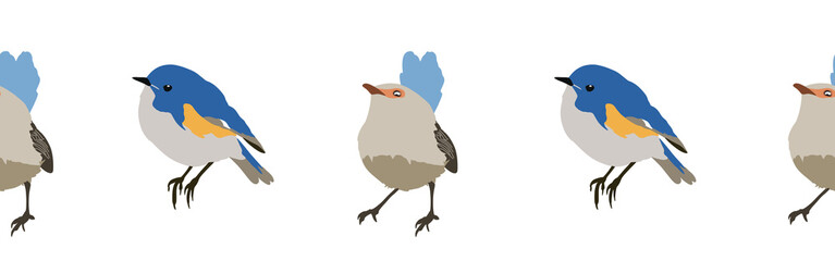 Bird con border. Bird feather silhouette symbol. Bird border isolated on a white background