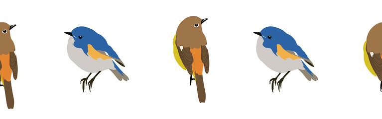 Bird con border. Bird feather silhouette symbol. Bird border isolated on a white background