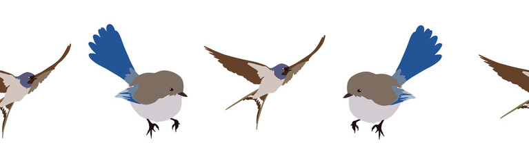 Bird con border. Bird feather silhouette symbol. Bird border isolated on a white background
