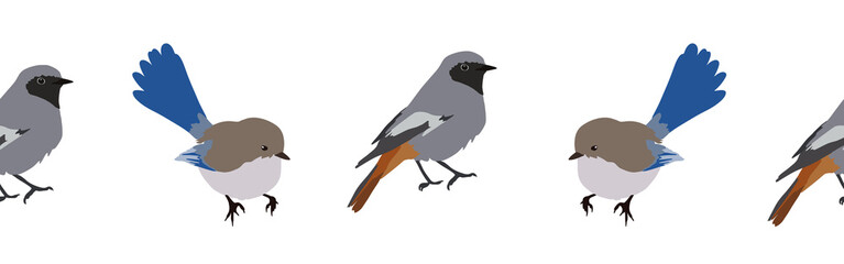 Obraz premium Bird con border. Bird feather silhouette symbol. Bird border isolated on a white background